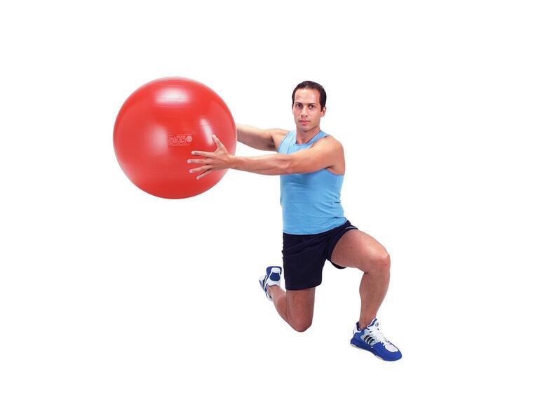 Gymnic Plus pakketilbud 6 stk. 55 cm 6 treningsballer i høy kvalitet 