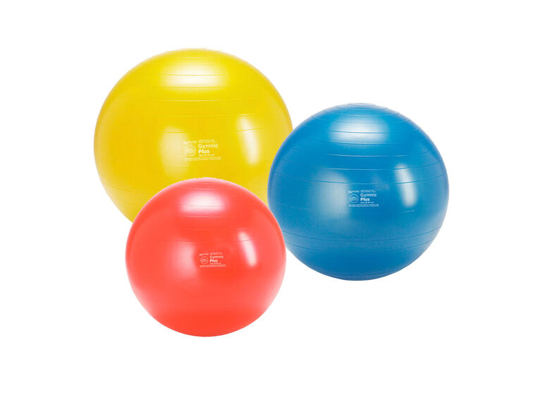 Gymnic Plus pakketilbud 6 stk. 55 cm 6 treningsballer i høy kvalitet 