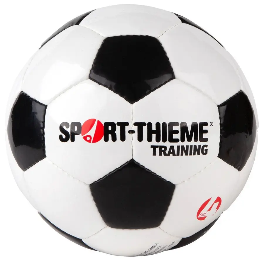 Fotball Sport-Thieme Training 4 Treningsball | Gress | Syntetisk lær 