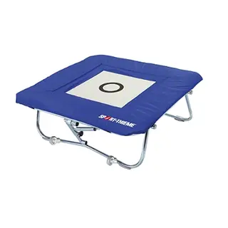 Trampett Sport-Thieme Standard 112 60x60 cm | Minitramp for skole og idrett