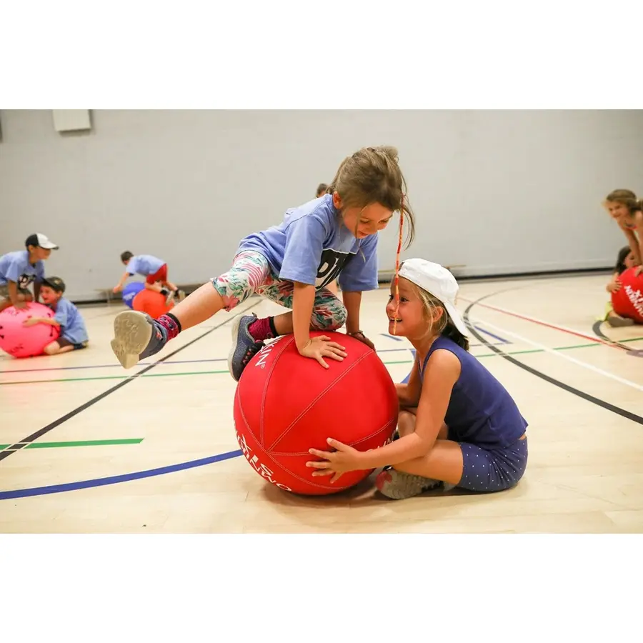 Omnikin® Super Pakke 6 baller og pumpe 
