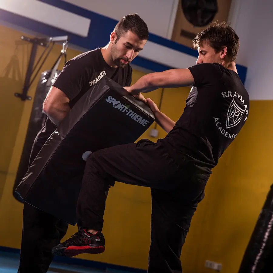 Punch Pad Curve 75x35x15 cm Kurvet slagpute til kampsport 