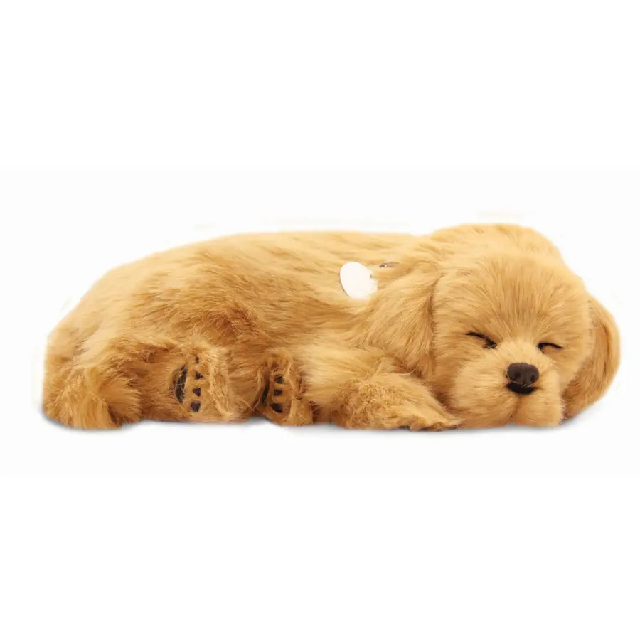 Sovende Golden Retriever Terapihund | Pustende 
