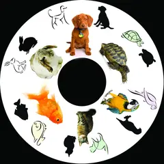 SNAP effekthjul pets Til Opti Solar og Snap projektor