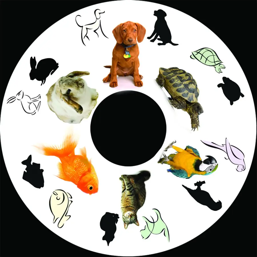 SNAP effekthjul pets Til Opti Solar og Snap projektor 