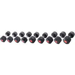 Manualer Sport-Thieme Gummiert 10-30 kg 1 av hver | 10-30 kg