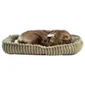 Sovende Labrador Terapihund | Pustende
