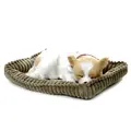 Sovende Chihuahua Terapihund | Pustende
