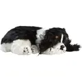 Sovende Cocker Spaniel Terapihund | Pustende