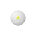 Bordtennisball Joola Elephant 55 mm 28 baller | Skole og fritid