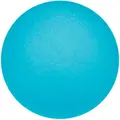 Håndtrener Sport-Thieme Physioball Lys Blå | Lett