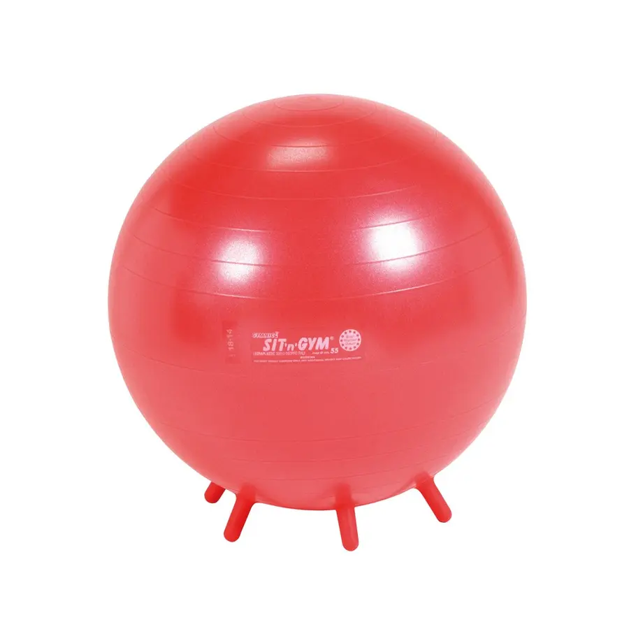 Sitteballer Sit`n Gym 55 cm Rød (12) 12 populære sitteballer 