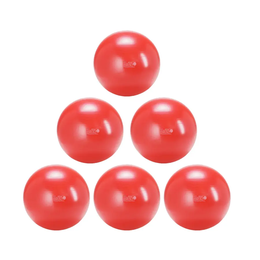 Gymnic Plus pakketilbud 6 stk. 55 cm 6 treningsballer i høy kvalitet 