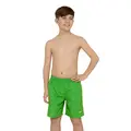 Penrith 15 Badeshorts jr 128cm Zoggs | Grønn | Ecodura