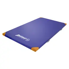 Turnmatte for gymnastikk 4 cm Kategori 2 | 200x100x4 cm | Borrel&#229;s