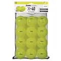 Pickleball X-40 Utend&#248;rs ball Optic 12 stk. | Trening og match