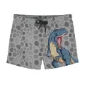 Goliath Short Badebukse Slipstop | Grå/Flerfarget | Polyester
