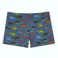 Texas Trunk Badebukse Slipstop | Flerfarget |Polyester/Elastan