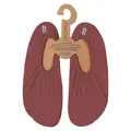 Slipstop Antisklisokker Burgundy Basic gymsokker voksen