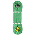 Klatretau Beal TIGER 10mmx60m DRY | Dynamisk enkelttua | Grønn