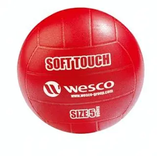Volleyball Soft Touch Myk ball for barn